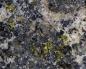 Preview: Engelhauptite